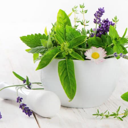 Lavender Basil Flowers