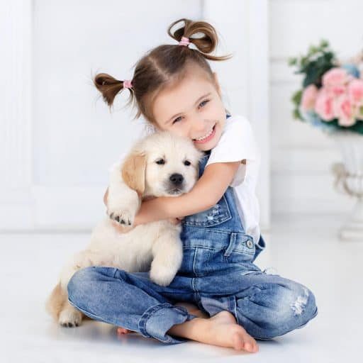 AdobeStock_129453452-scaled-1-pqgd067j8mkgpwiizkr7xhv65esd40gp7r8l5oqn7k