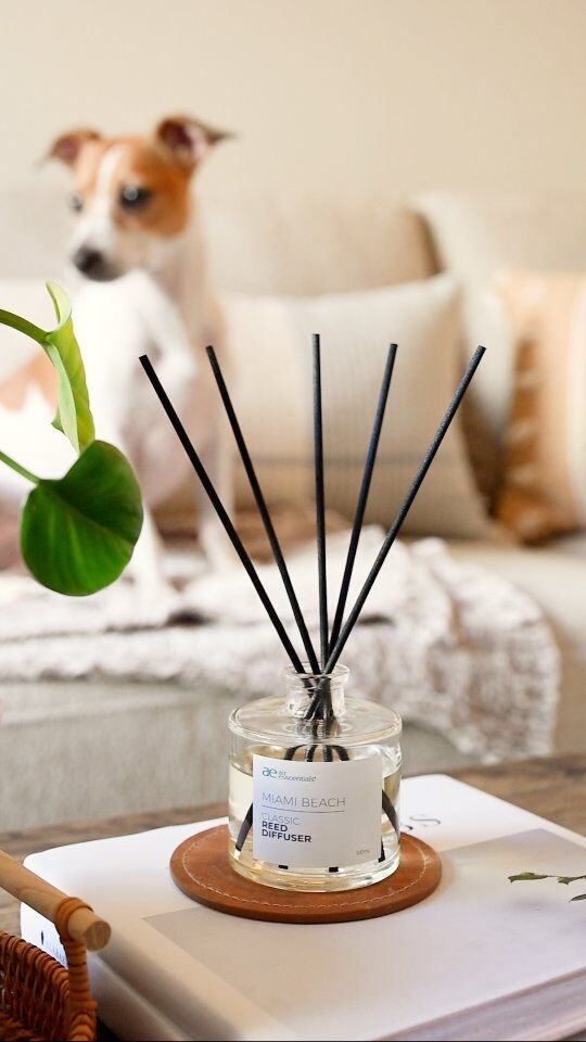 How does your dog wait for you? 🐶 Let's find out!